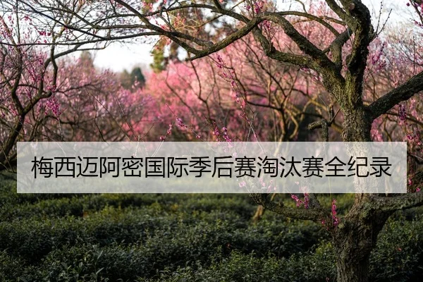 梅西迈阿密国际季后赛淘汰赛全纪录